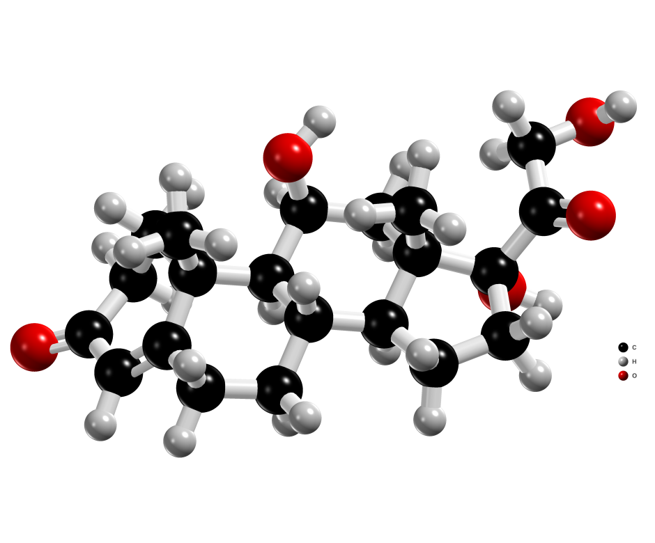 hydrocortisone